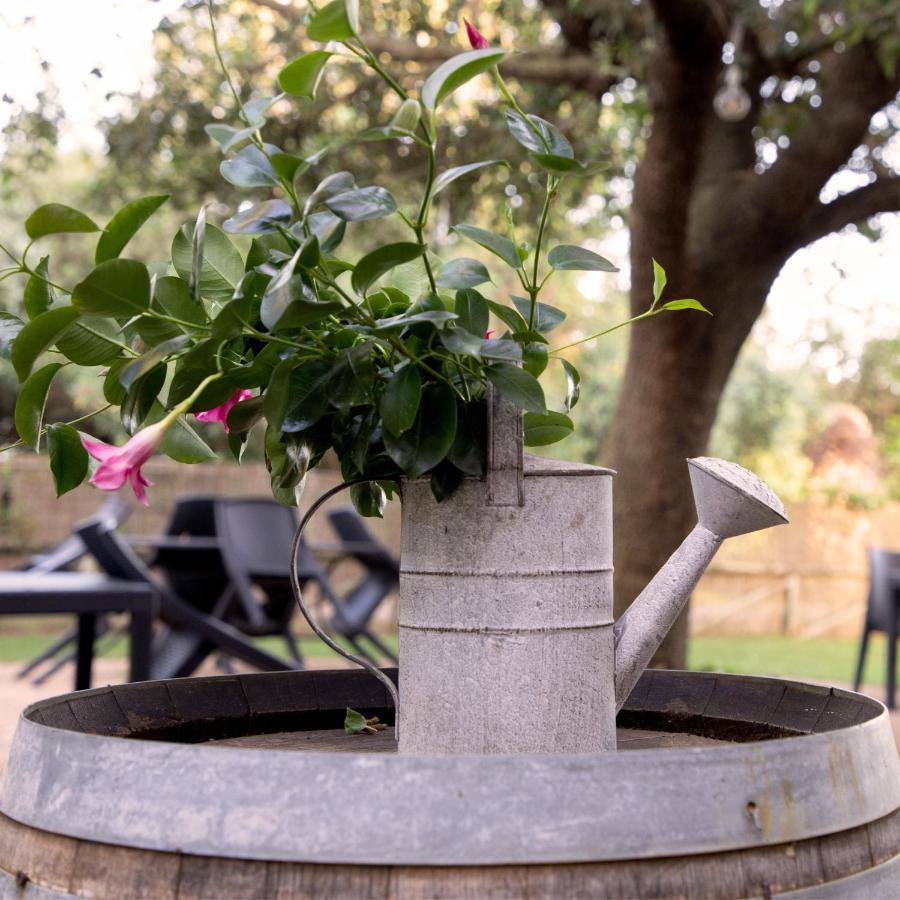 Agriturismo I Tre Fossi มาลียาโน อิน ตอสกานา ภายนอก รูปภาพ